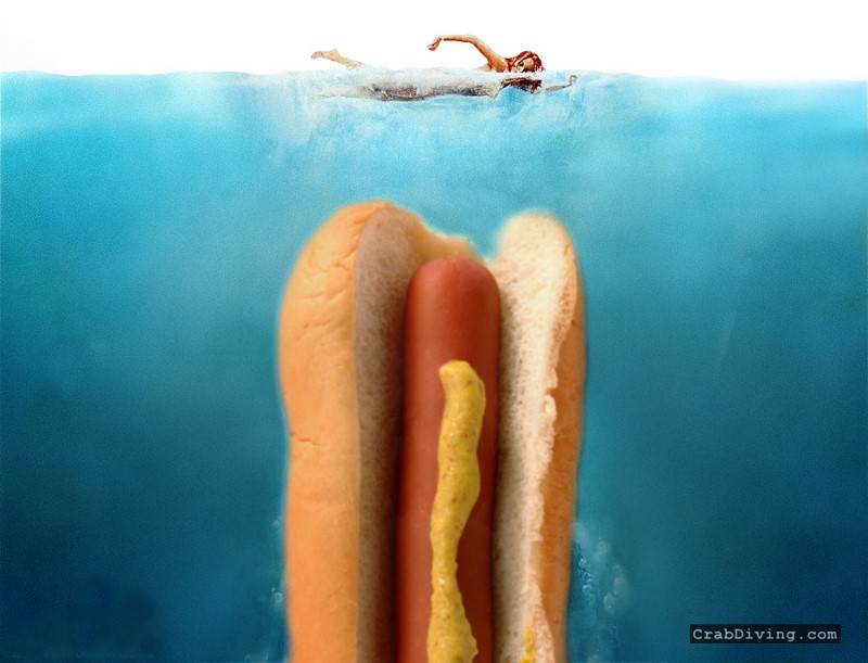 hot-dog-shark.jpg