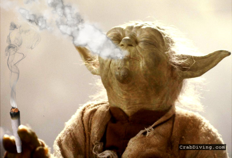 Stoned Yoda