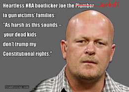 Joe the Plumber gun control dick