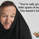 RIP Robin Williams quote madness - CrabDiving