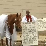 anti gay pastor and horse
