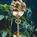 Cannabis Cup - CannaLinguists Marijuana Podcast