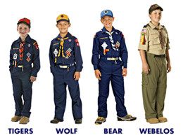 cub scouts rankings