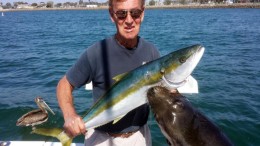 sea lion drags man off boat