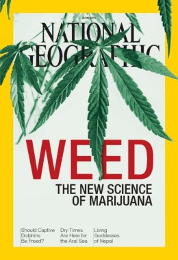 National Geographic marijuana cover