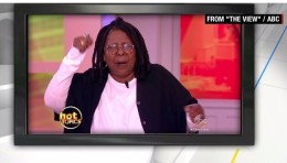 Whoopi Cosby defense