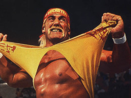 hulk hogan racist comments