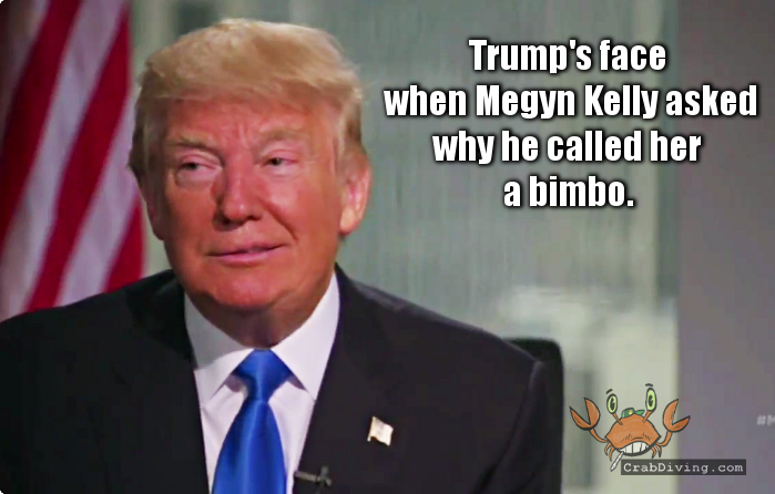 Megyn Kelly Trump interview