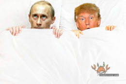 trump putin connection