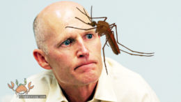 florida zika virus