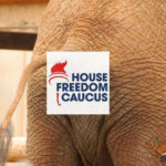 Freedom Caucus revolt