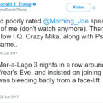 Trump Mika Brzezinski Tweets