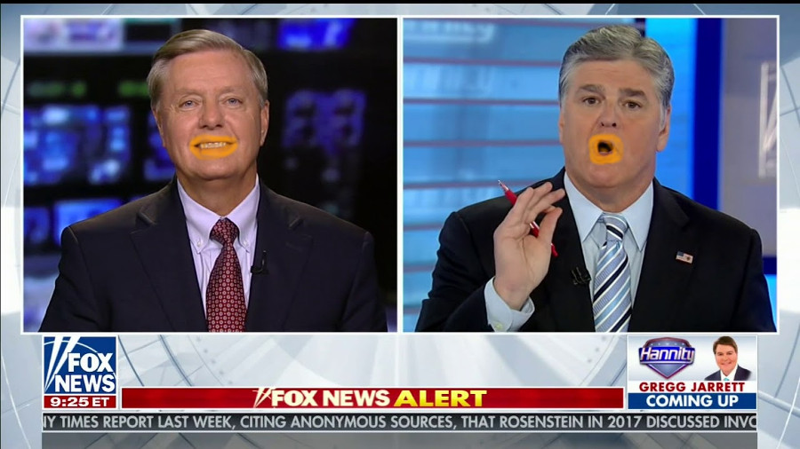 Hannity Gushed Over Lindsey Graham