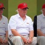 Trump fat shamed a protester