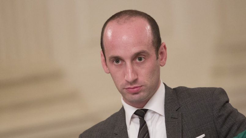 stephen miller's leaked emails