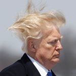 trump hates wind
