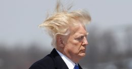 trump hates wind