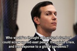 trust fund slumlord Jared Kushner