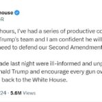 kyle rittenhouse pissed off the MAGA cesspool LOL