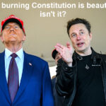 trump musk burning constitution