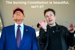 trump musk burning constitution